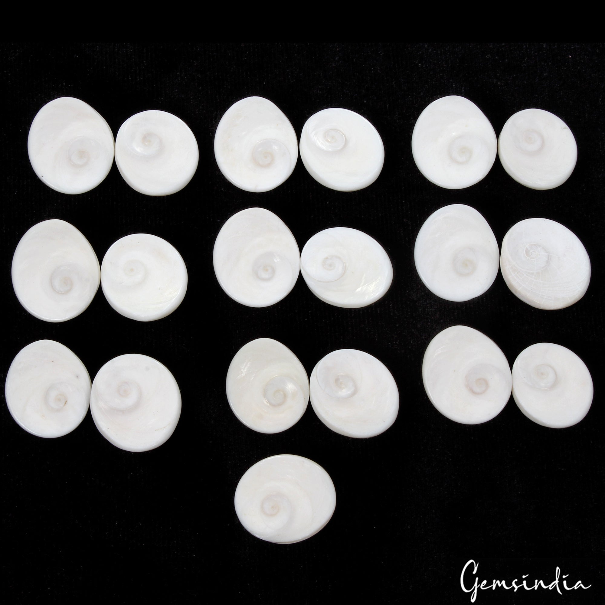 330 Cts/19 Pcs Natural Untreated Gomti Chakra Round Cab Loose Gems For Jewelry
