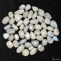 1050 Cts/52 Pcs Natural Untreated Blue Shine Moonstone Mixed Cab Loose Gems Lot
