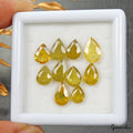 Certified 18.90 Ct/10 Pcs Natural Untreated Yellow Sapphire Pear Gem For Jewelry