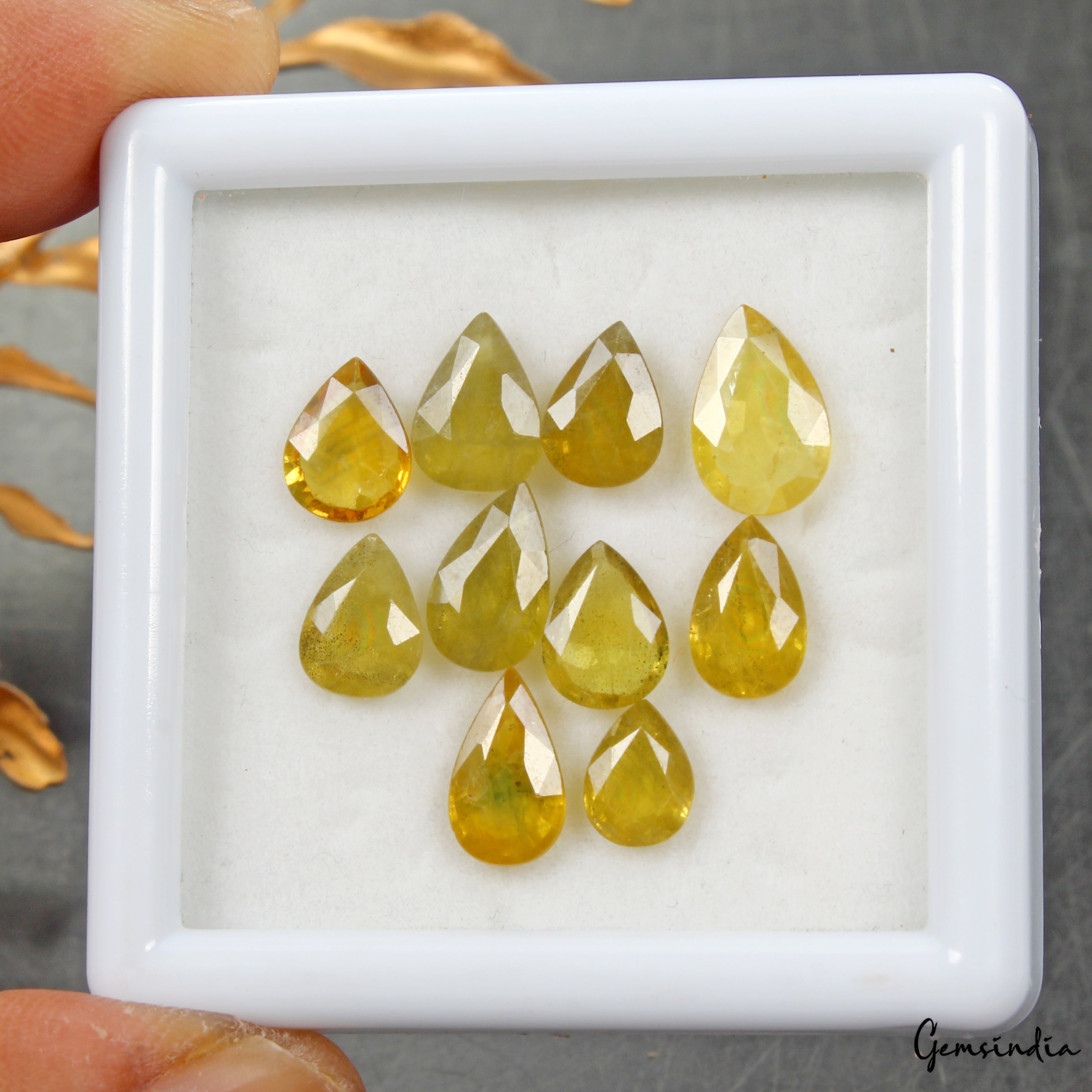 Certified 18.90 Ct/10 Pcs Natural Untreated Yellow Sapphire Pear Gem For Jewelry