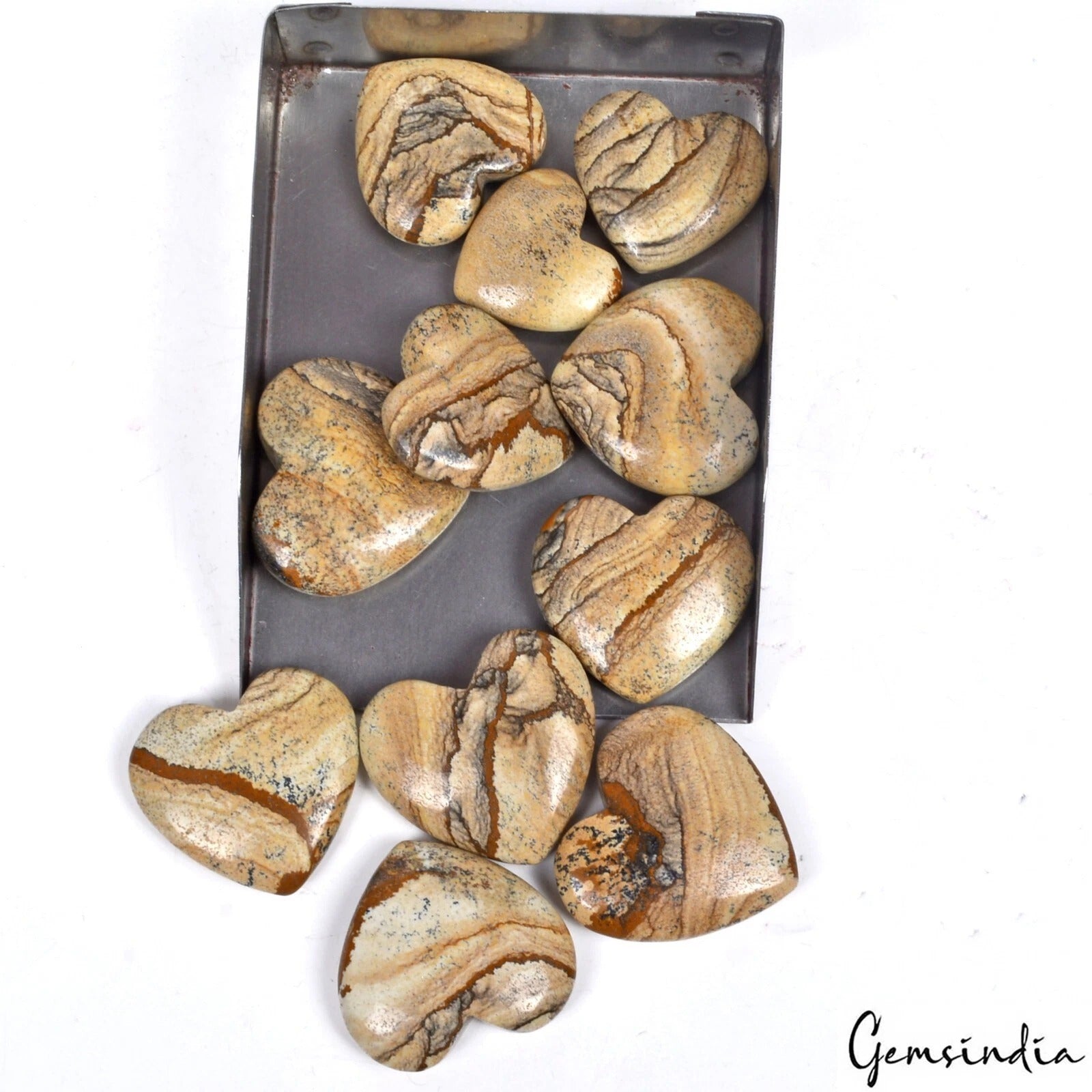 Picture Jasper Lot, Cabochon, Untreated — 11 Pieces, 22mm to 32mm, 600 Ct
