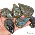 6 Pcs Natural Labradorite 63mm-76mm Hand Carving Flashy Untreated Gemstones Lot