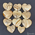 Picture Jasper Lot, Cabochon, Untreated — 11 Pieces, 22mm to 32mm, 600 Ct