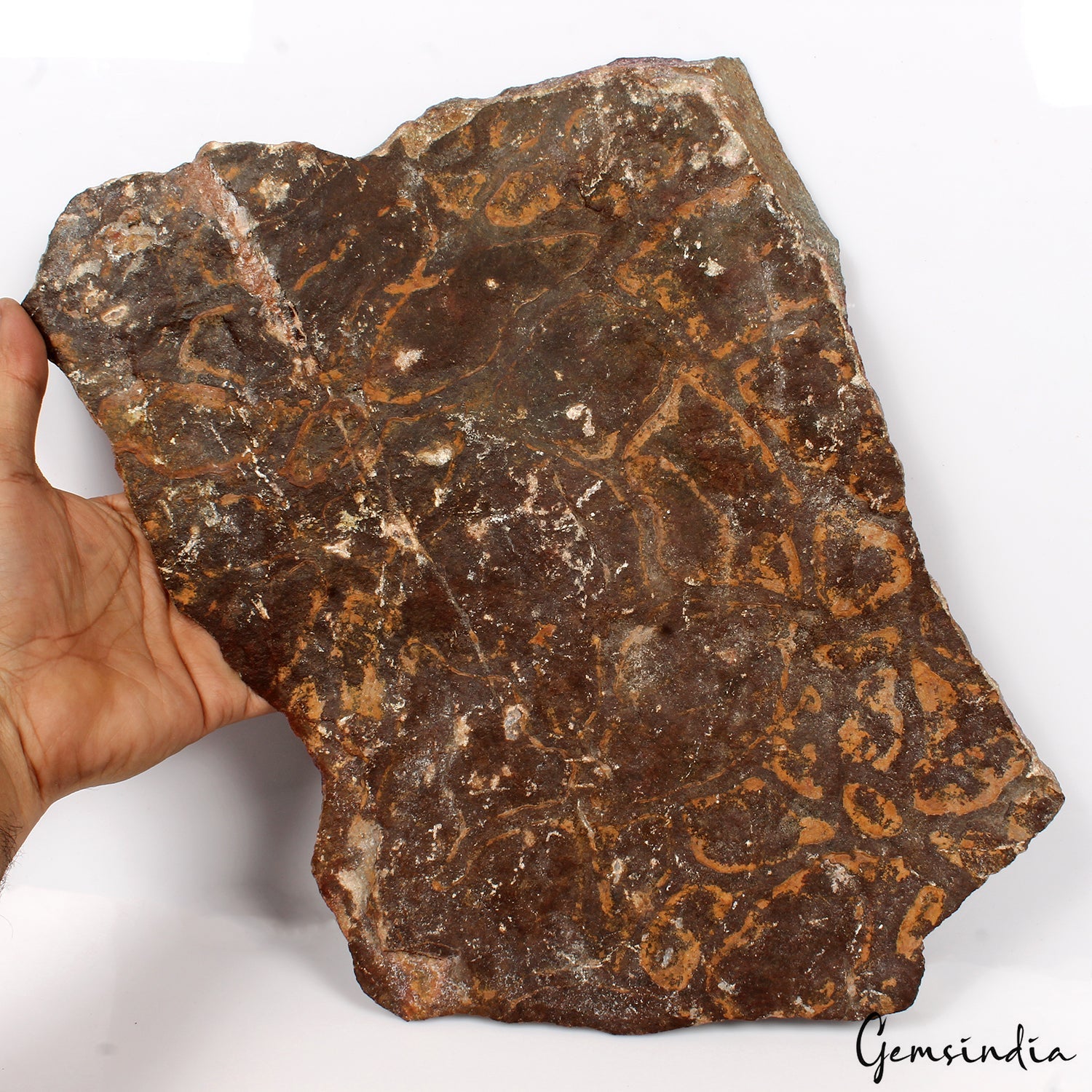 Large 2.9kg Ruby Kyanite Slab Specimen Rough Natural Stone On Rare Display Stand