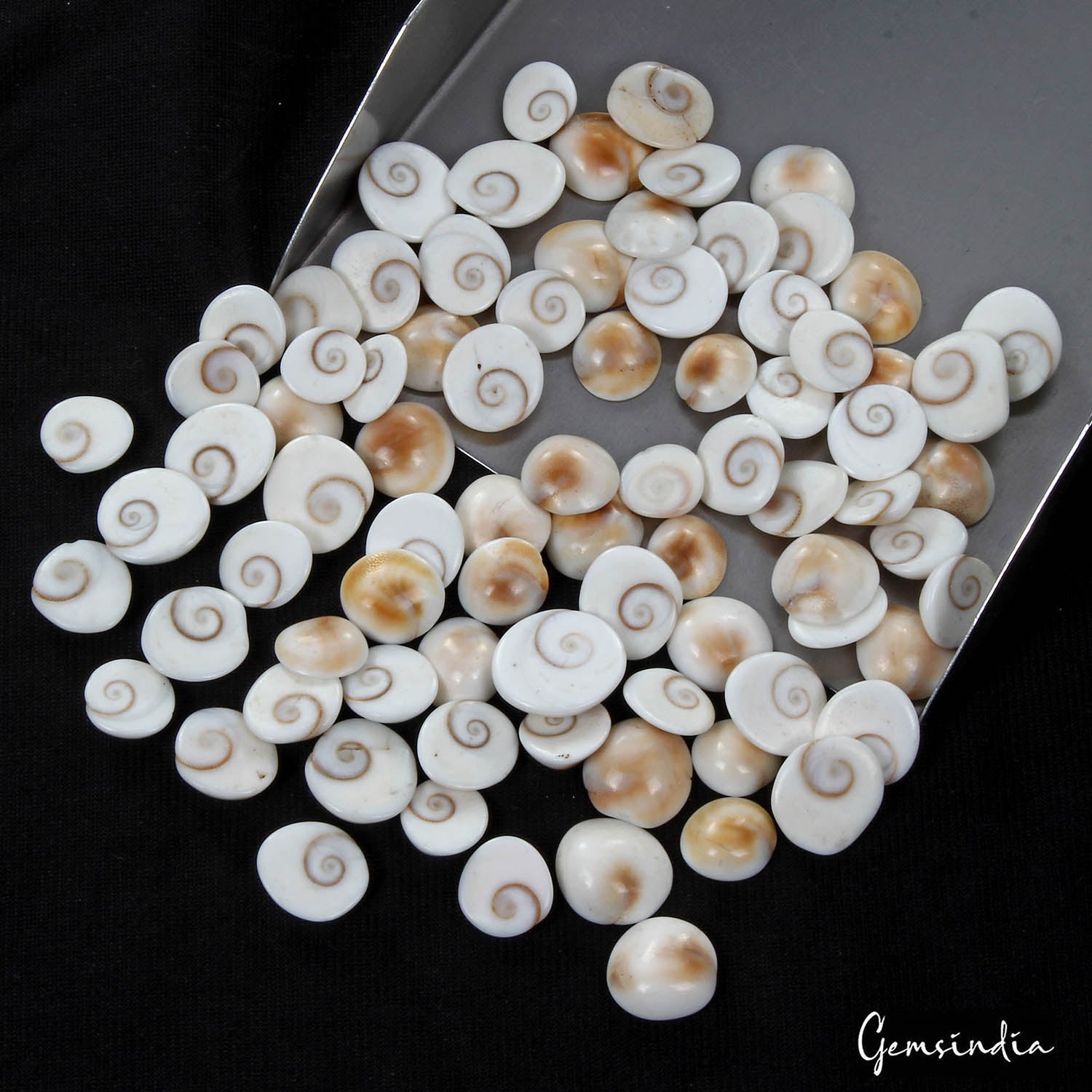 Gomti Chakra Lot, Loose Gemstone, Untreated, White — 82 Pieces, 09mm to 14mm, 250.00 Ct, India
