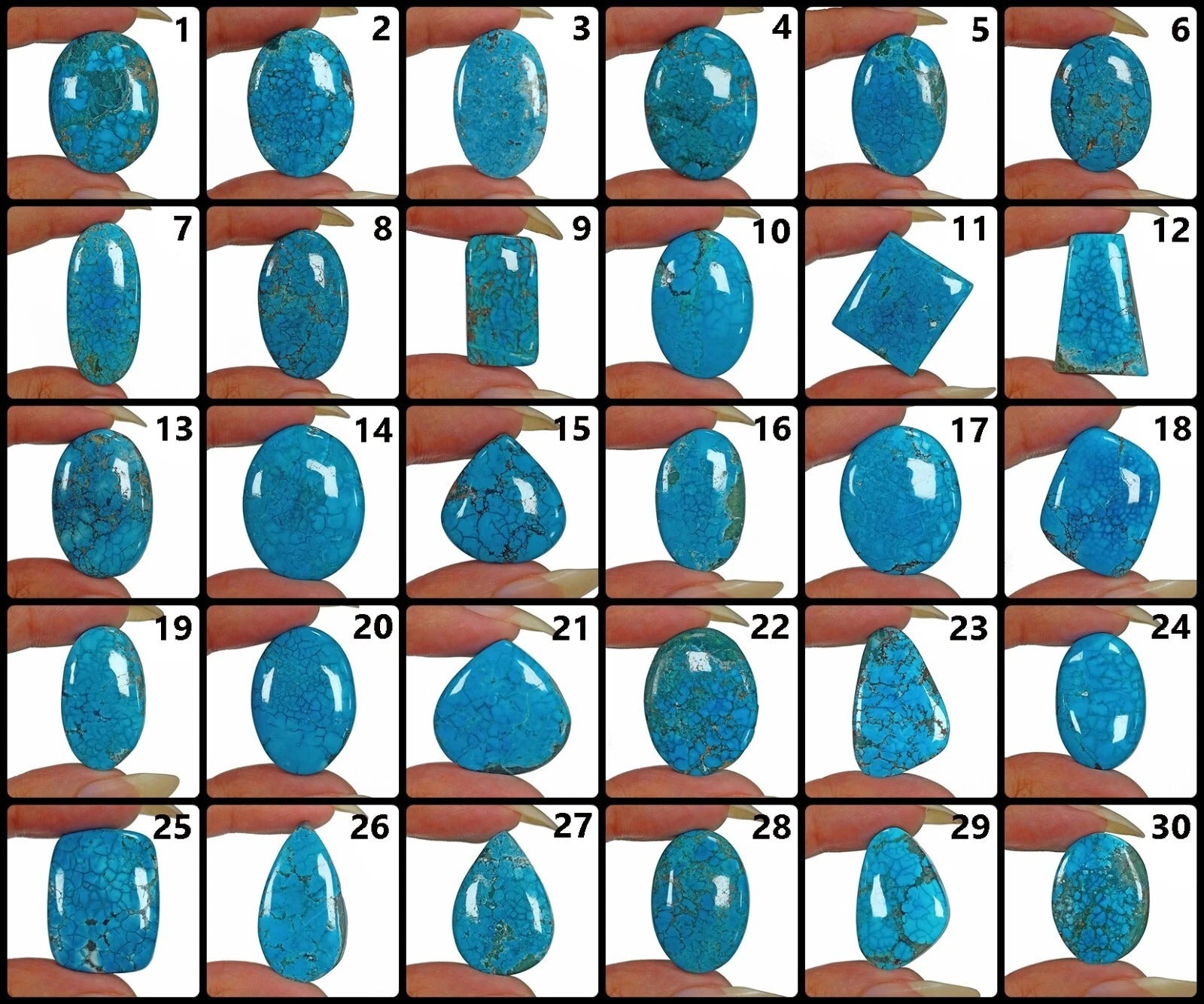 Turquoise Cabochon, Blue — 25mm to 47mm, 1040 Ct, India