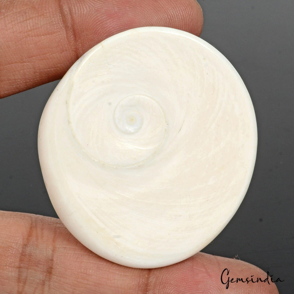 226.90 Cts Natural Untreated Gomti Chakra Round Cab Huge Loose Gems For Jewelry