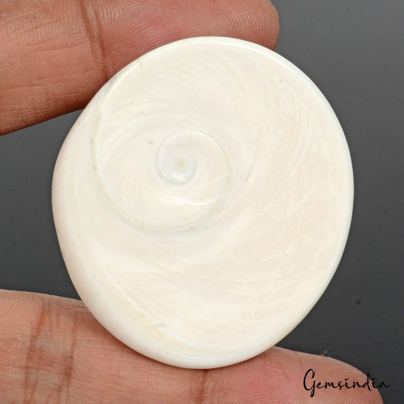 Gomti Chakra Cabochon, Untreated — 50 x 45 x 15mm, 226.90 Ct, India
