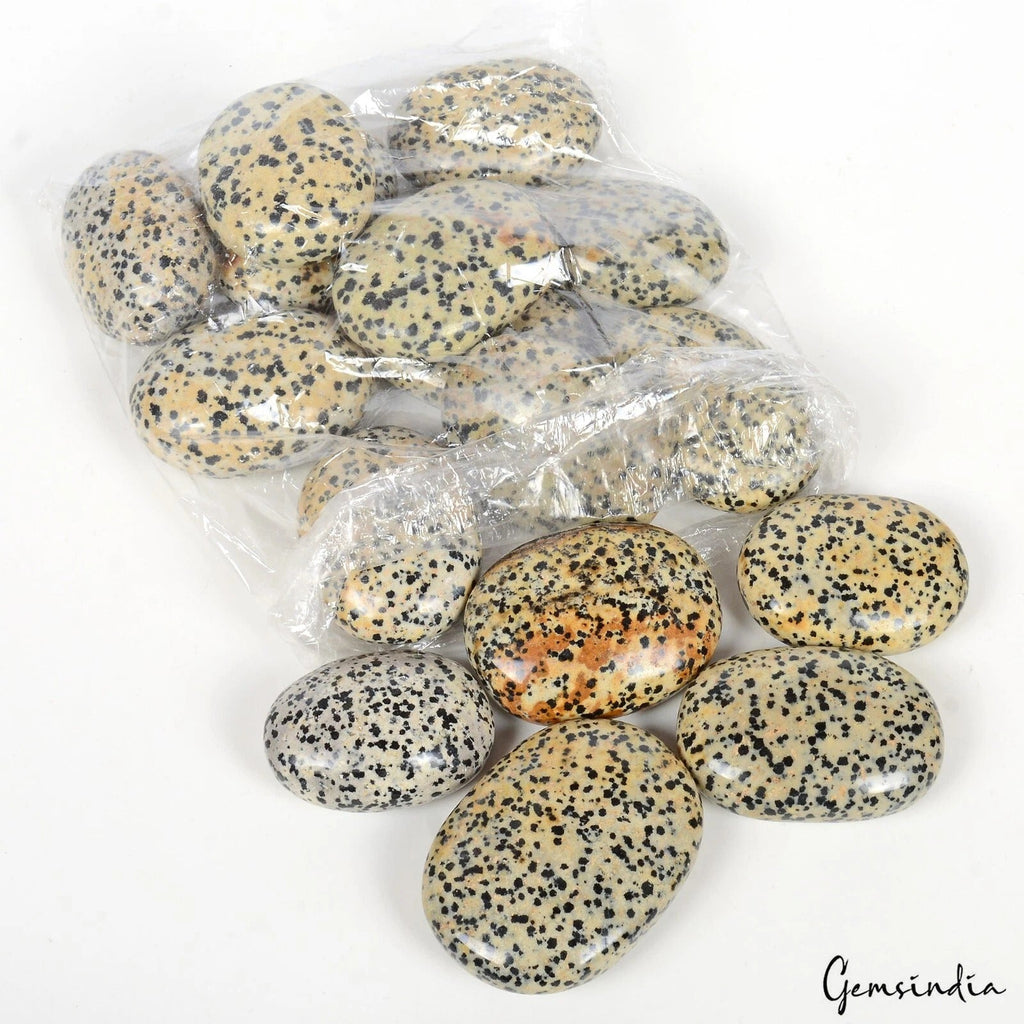 1 Kg Dalmation Jasper Crystal Palm Sones Polished Natural Gemstones Healing 16Pc
