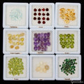 200Pcs Estate Genuine Semi Precious Loose Mix Cut Multi Gemstones Lot Collection