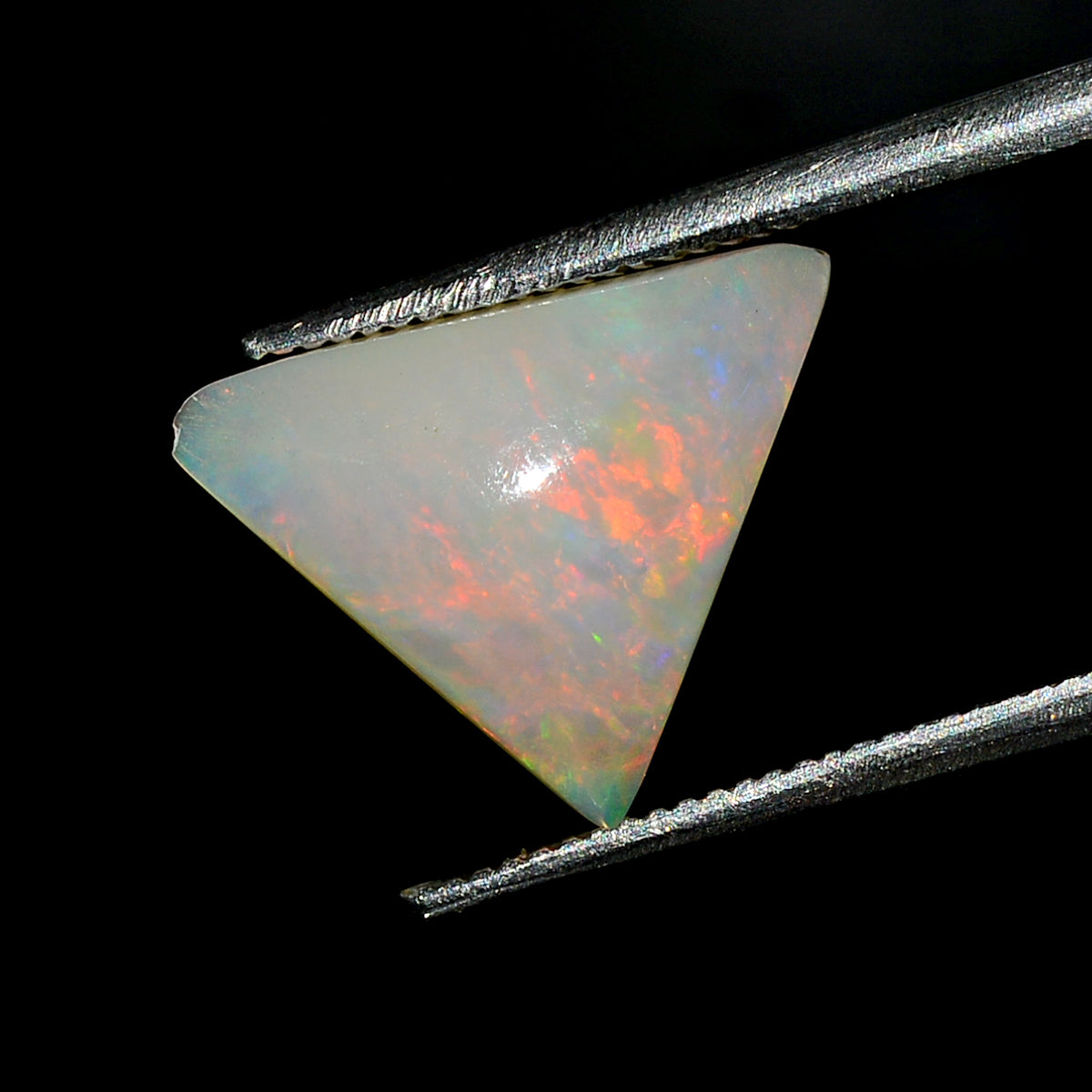 2.00 Ct Natural Ethiopian Welo Opal Trillion Cabochon Multi Fire Loose Gemstone