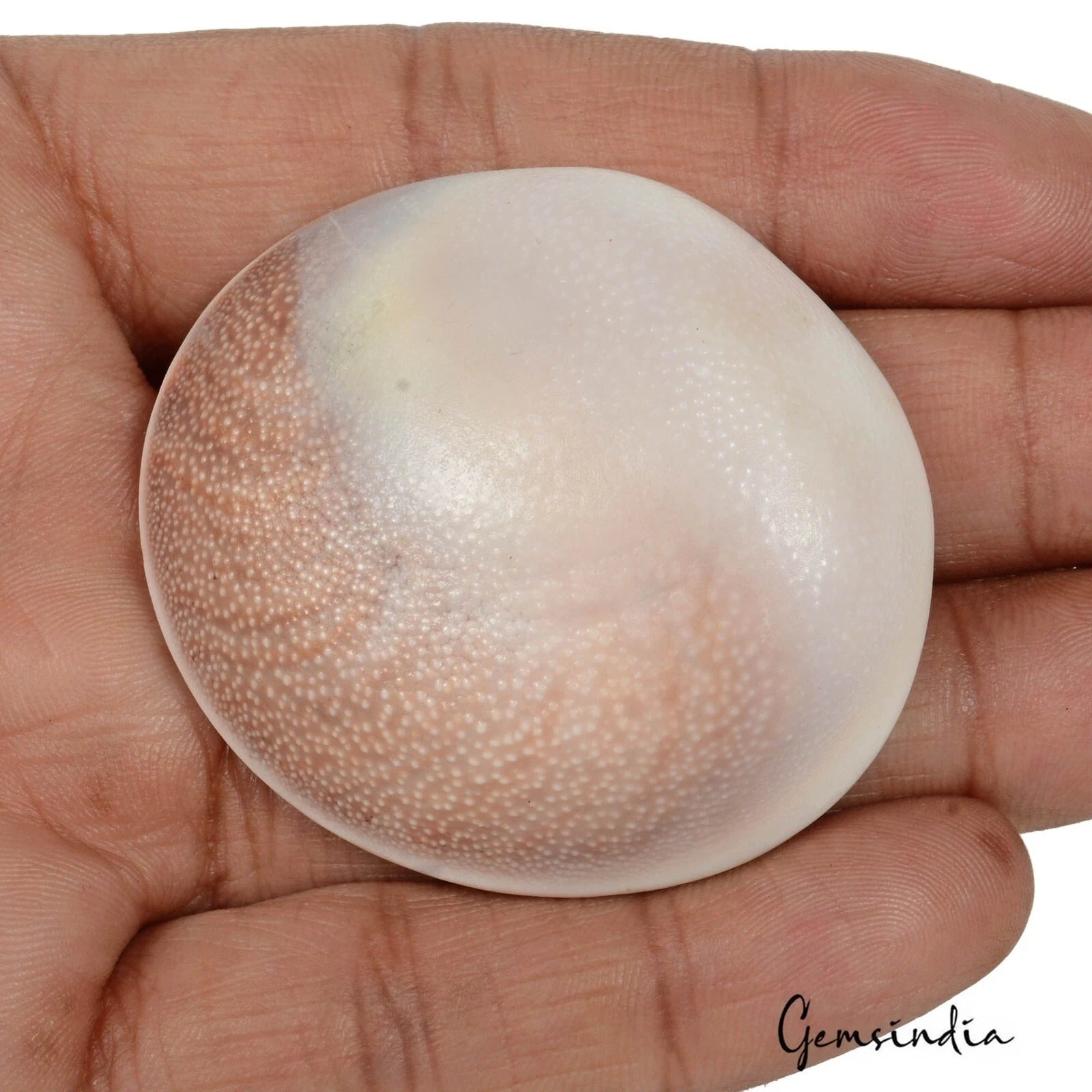 226.90 Cts Natural Untreated Gomti Chakra Round Cab Huge Loose Gems For Jewelry