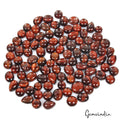 340 Ct/98 Pcs Natural Untreated Red Tiger Eye Mix Cab Loose Gems Lot for Jewelry