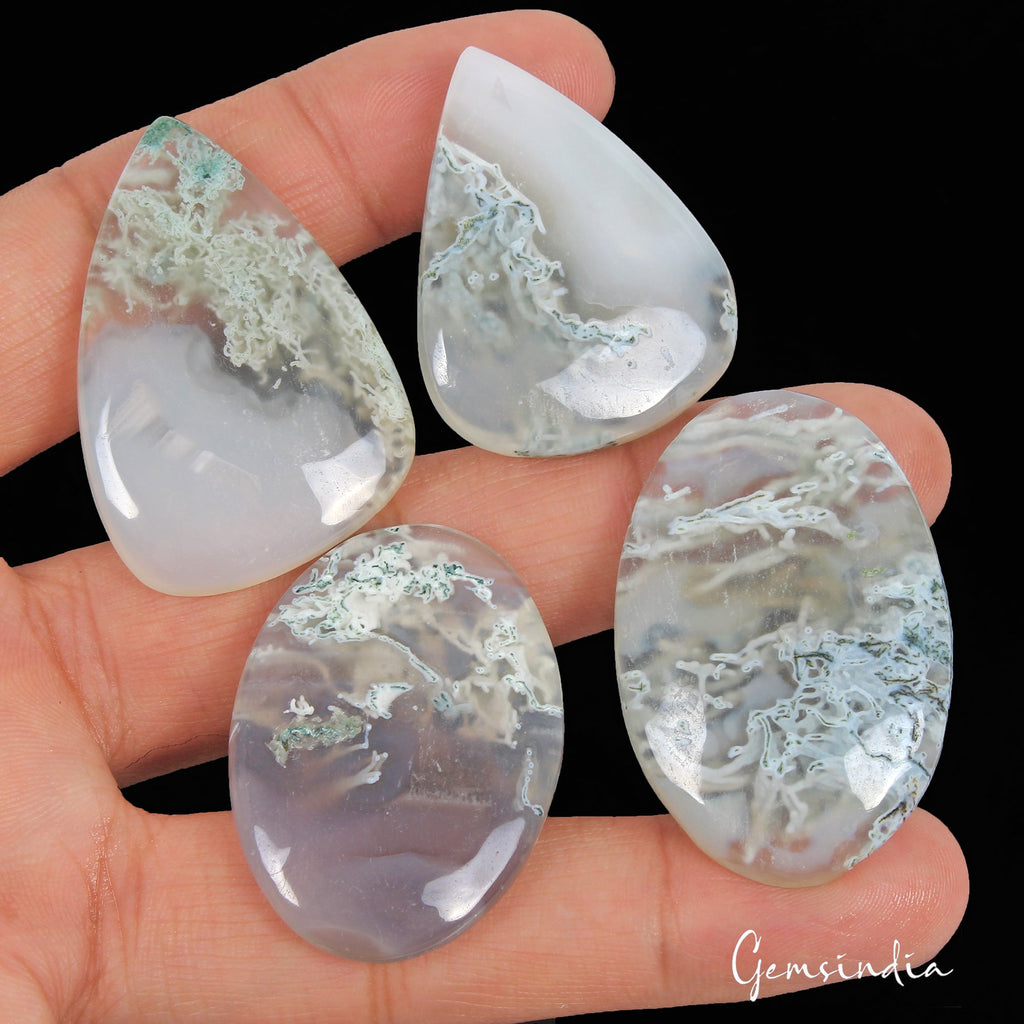 231.20 Ct Natural Untreated Multicolor Moss Agate Mix Cabochon Loose Gemstone