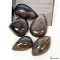 Untreated Blue Gray Sapphire 300Ct Mix Cabochon Loose 24-32mm Certified Gems Lot