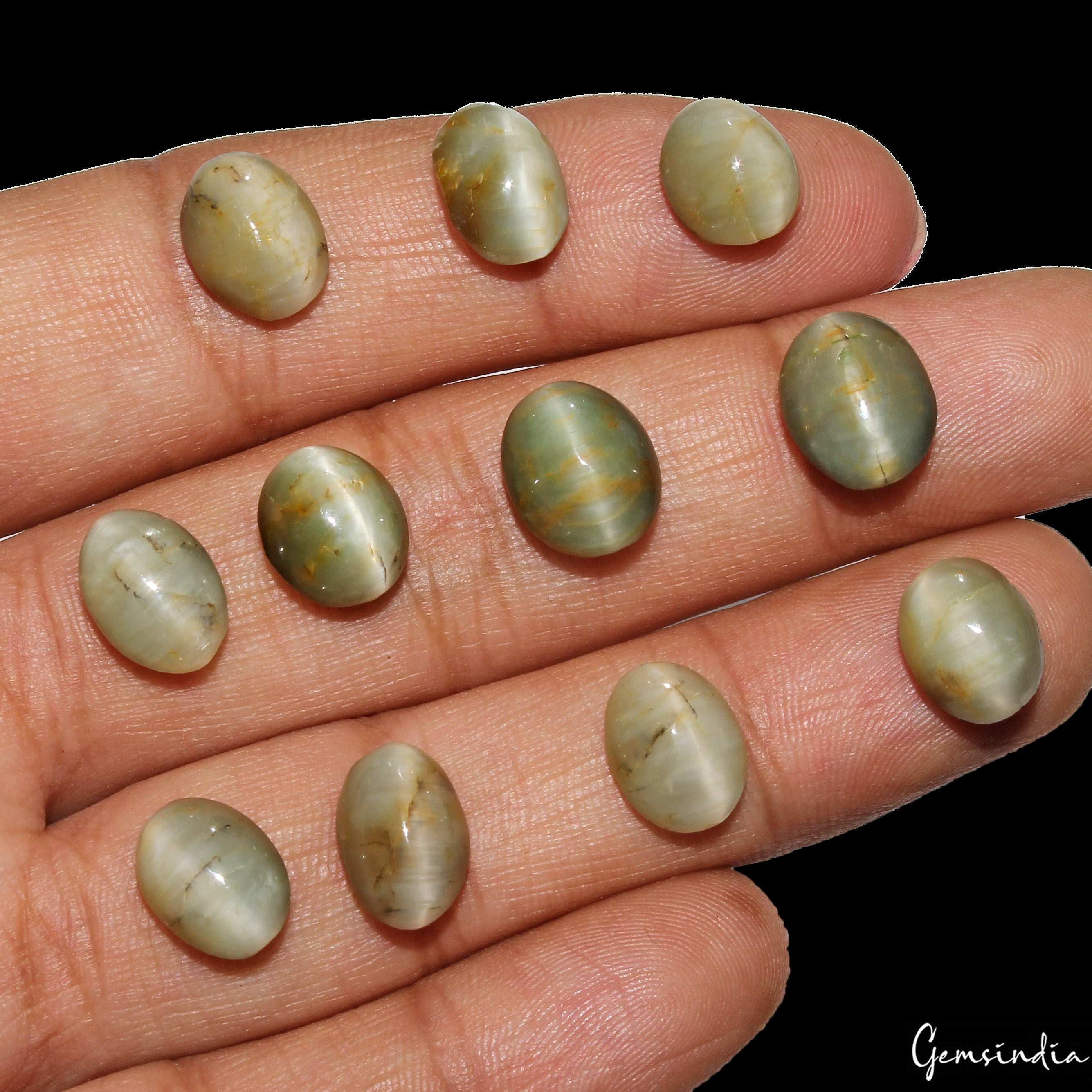 48.00 Cts Natural Chrysoberyl Green Cats Eye Oval Cabochon Loose Gemstones~11 Pc