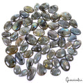 2000 Cts/55 Pcs Natural Multi Shine Labradorite Mix Cab Loose Gems Wholesale Lot