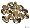 Septarian Lot, Cabochon, Untreated — 15 Pieces, 35mm to 45mm, 750 Ct