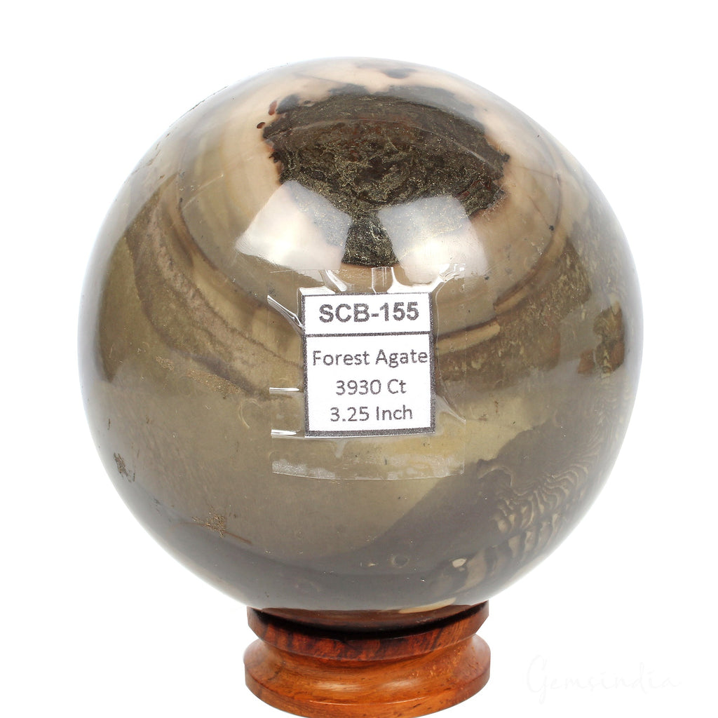 3930 Ct Natural Forest Agate Healing Crystal Mineral Sphere Gemstone With Stand