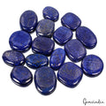1130 Cts/16 Pcs Natural Blue Lapis Lazuli w Gold Flecks Mix Loose Wholesale Gems