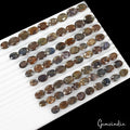 500 Cts/73 Pcs Natural Untreated Brown Blue Sapphire Mixed Cut Loose Gems Lot