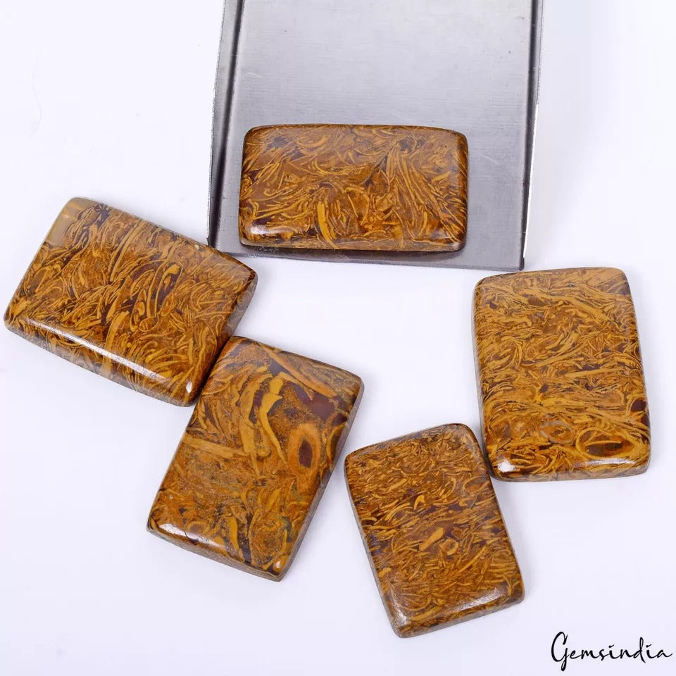 Jasper Lot, Cabochon, Untreated — 5 Pieces, 27mm to 31mm, 200 Ct