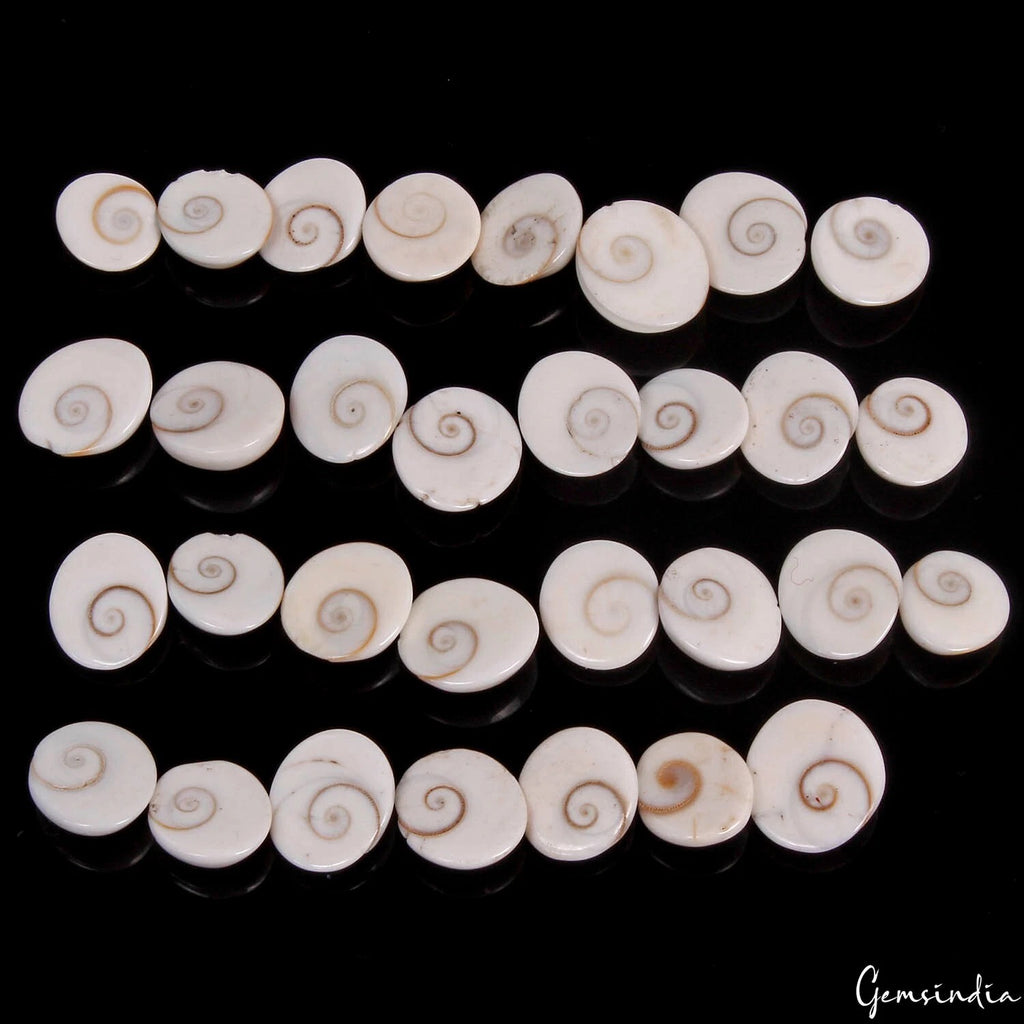 Gomti Chakra Lot, Cabochon, Untreated — 31 Pieces, 12mm to 17mm, 225 Ct, India