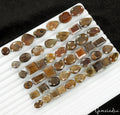 440 Ct/48 Pcs Natural Untreated Brown Sapphire Mix Cut Loose Ring Size Gemstones
