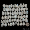 1200Ct/61 Pcs Natural Untreated Blue Shine Moonstone Mix Cab Loose Wholesale Gem