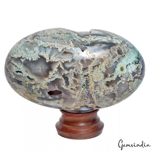 1.1 Kg Natural Dendrite Moss Agate Druzy Crystal Egg Geode Specimen Reiki Decor