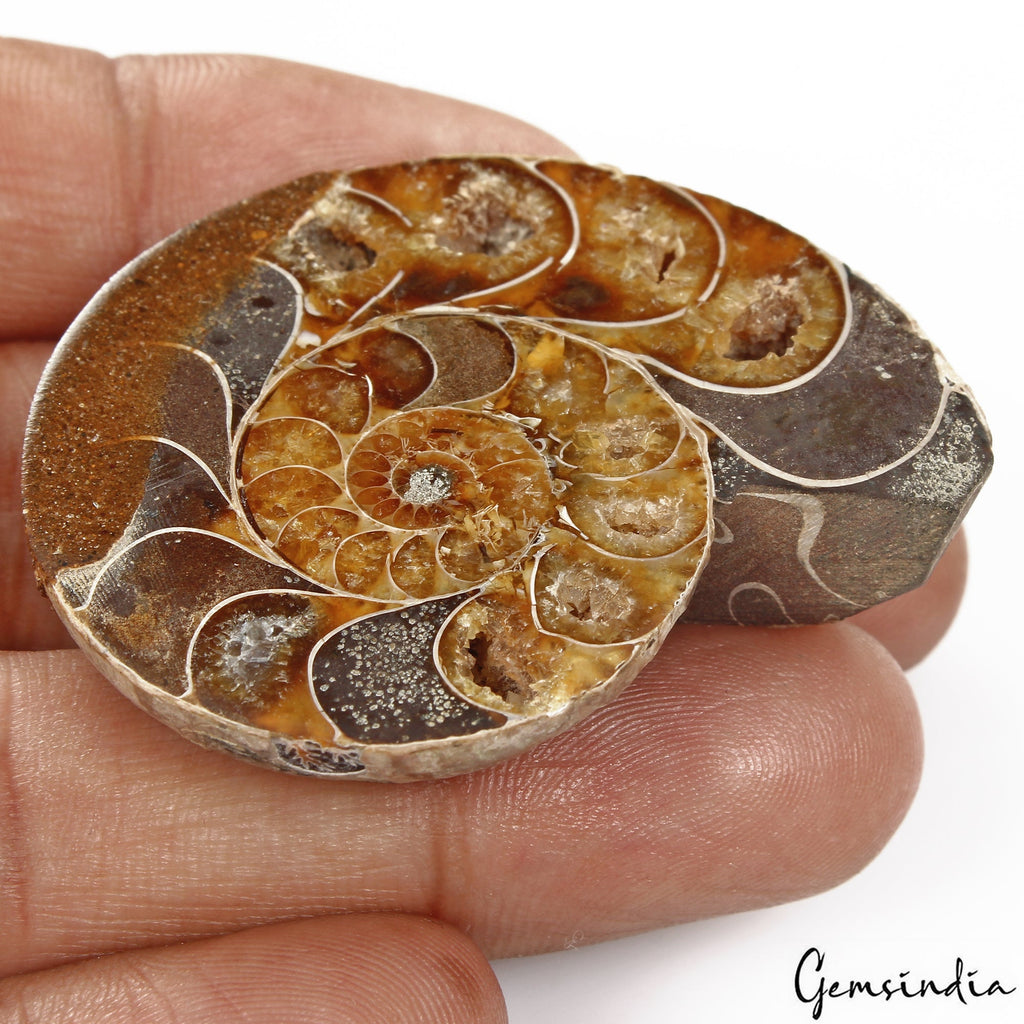 134 Cts Natural Untreated Brown Ammonite Fossil Cab Loose Rare Gem For Pendant