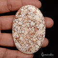 193.85Ct Natural Untreated White Brown Buffalo Turquoise Oval Cab Huge Loose Gem