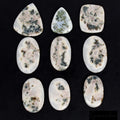 620 Cts/9 Pcs Natural Bi-Color Untreated Dendrite Opal Mixed Cab Loose Gems Lot