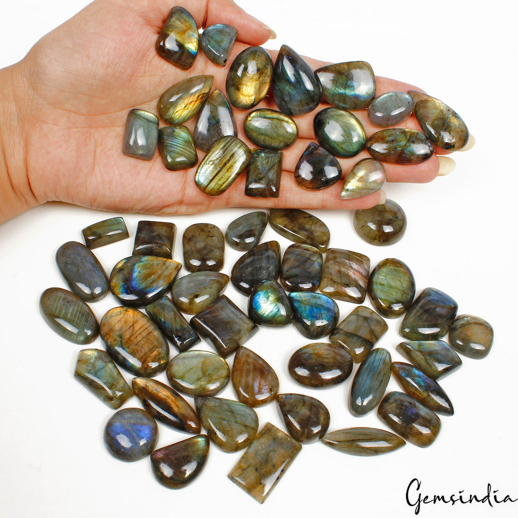 1300 Cts/55 Pcs Natural Multi Shine Spectrolite Labradorite Mixed Cab Loose Gems