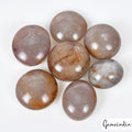Certifies 140 Ct/7 Pcs Natural Untreated Brown Star Sapphire Round Cab Gems Lot