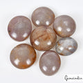 Star Sapphire Lot, Cabochon, Untreated, Brown — 7 Pieces, 14mm to 17mm, 140 Ct, Madagascar