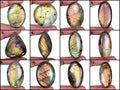 Labradorite Lot, Cabochon — 12 Pieces, 30mm to 45mm, 700 Ct