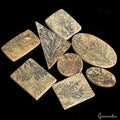 320 Ct. Natural Psilomelane Dendrite Fossil Tree Agate Loose Wholesale Gemstones