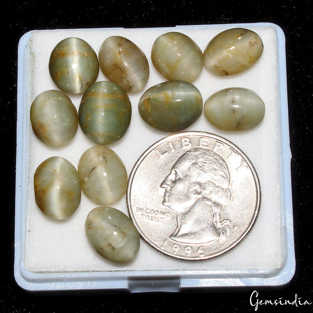 48.00 Cts Natural Chrysoberyl Green Cats Eye Oval Cabochon Loose Gemstones~11 Pc
