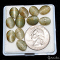 48.00 Cts Natural Chrysoberyl Green Cats Eye Oval Cabochon Loose Gemstones~11 Pc
