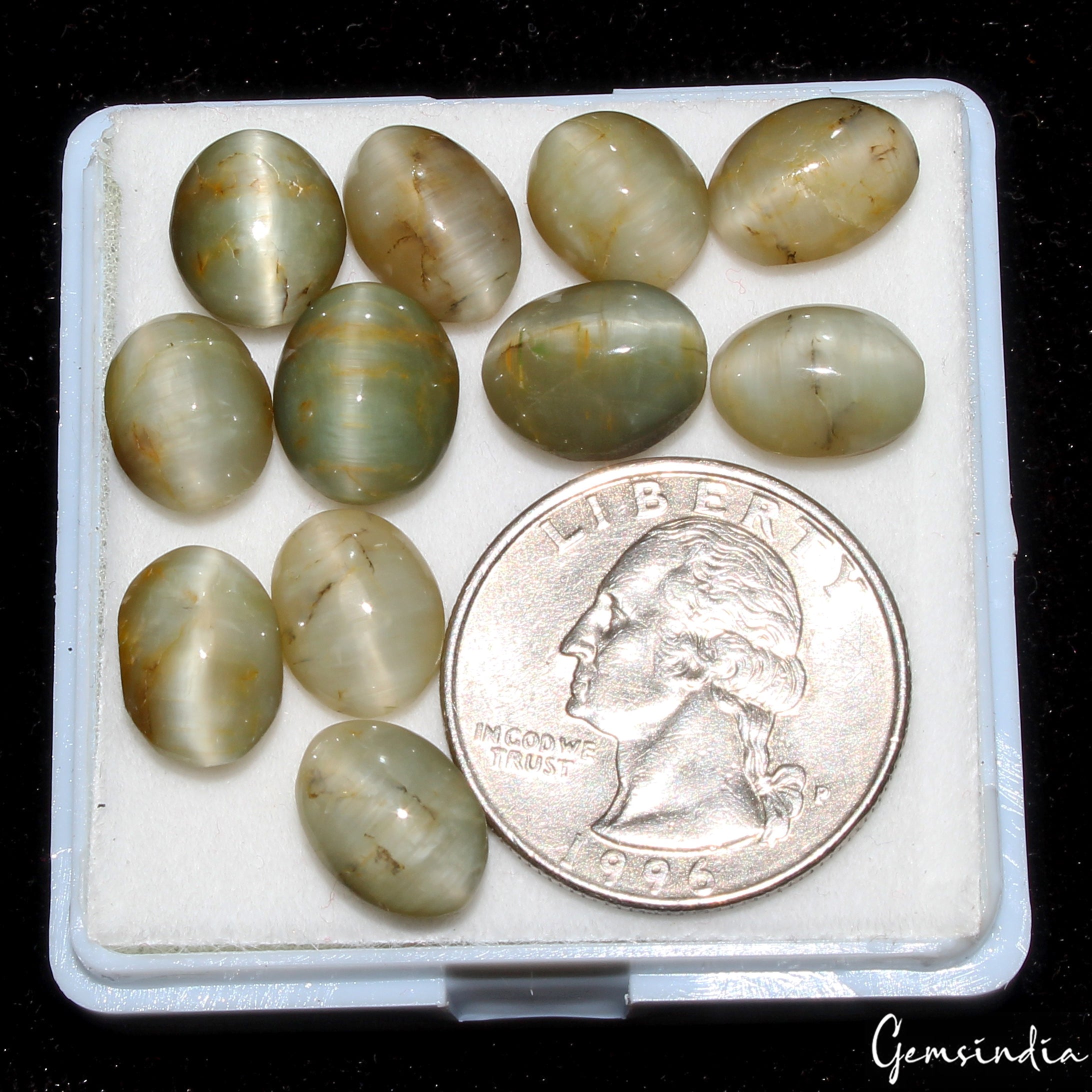 48.00 Cts Natural Chrysoberyl Green Cats Eye Oval Cabochon Loose Gemstones~11 Pc