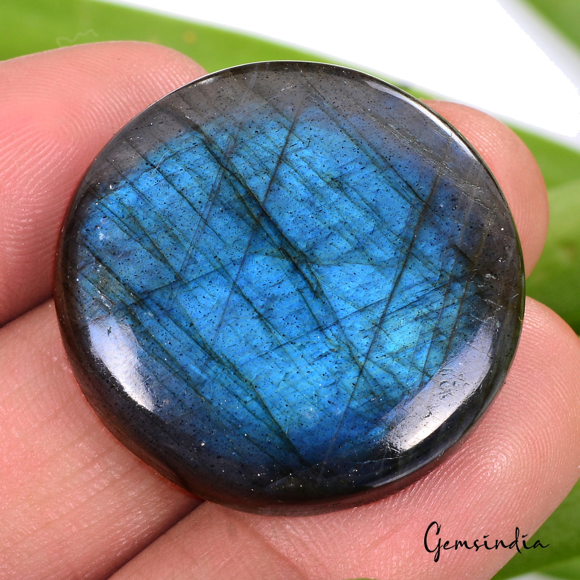 55.70 Ct Natural Untreated Blue Shine Labradorite Round Cab Certified Loose Gems