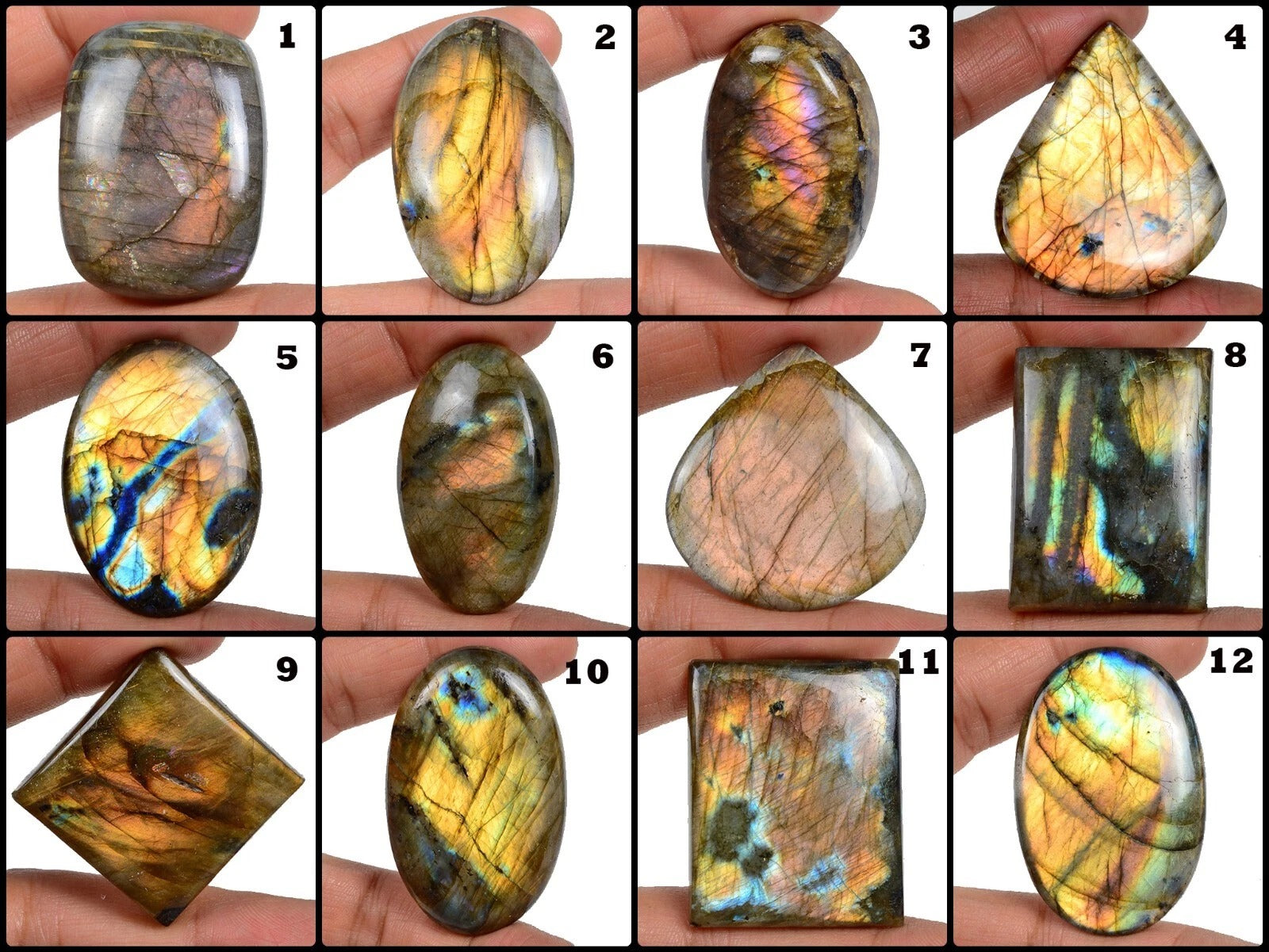 1346.20 Ct/12 PcNatural Multi Fire Labradorite Mix Cab Loose Certified Gems Lot