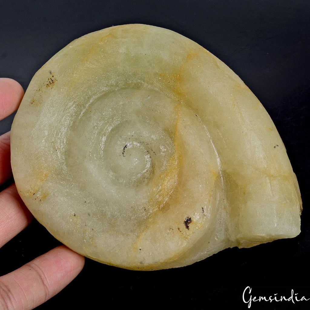 3850 Ct Natural Untreated Ammonite Aquamarine Cerved Uncut Rough Huge Rare Gem