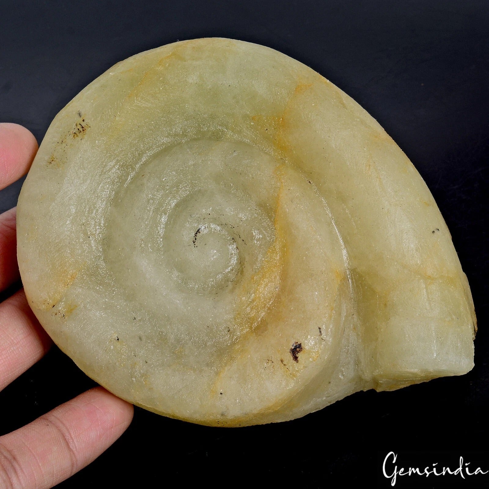 3850 Ct Natural Untreated Ammonite Aquamarine Cerved Uncut Rough Huge Rare Gem