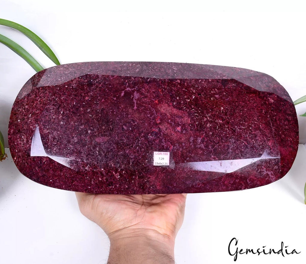 RARE 7.29 Kilo Natural HUGE Red Ruby Museum Grade Long Oval Cut Loose Gemstone