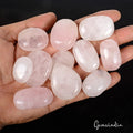 840 Ct Natural Untreated Pink Rose Quartz Mix Cab Loose Pendant Size Gemstones
