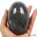 4740Ct Natural Gray Kiwi Jasper Healing Crystal Mineral Egg Shape Gem With Stand