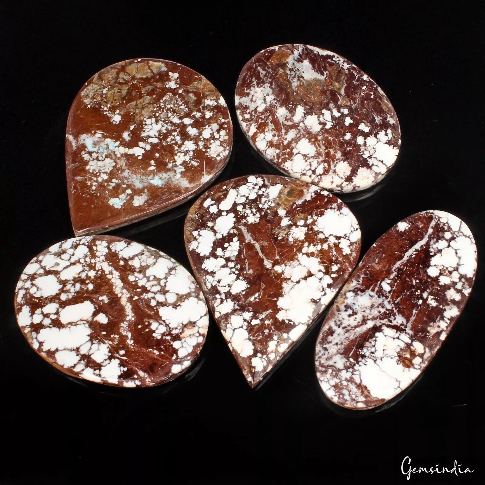 800Ct/5 Pcs Natural Untreated Nevada White Buffalo Turquoise Mix Cab Loose Gems