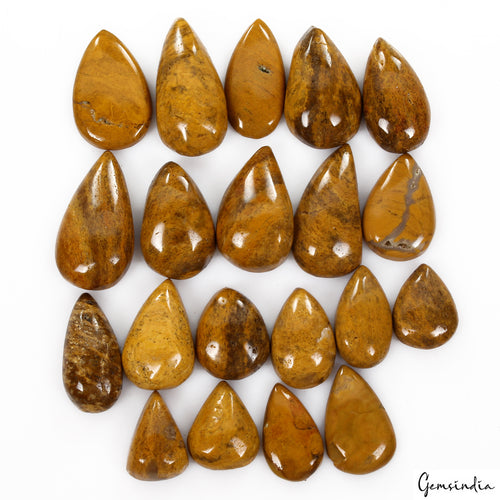 Agate Lot, Cabochon, Untreated, Yellow — 20 Pieces, 19mm to 32mm, 440 Ct